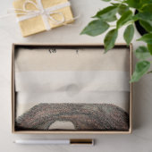 WEEFSELPAPIER : EGON SCHIELE : PORTRAIT VAN VROUWE TISSUEPAPIER (Geschenk)