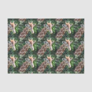 Weefselpapier Giraffe Tissuepapier