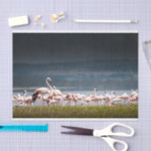 Weefselpapier met Afbeelding van Flamingos Tissuepapier (Craft)