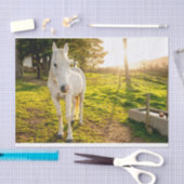 Weefselpapier met Afbeelding van het witte Arabisc Tissuepapier (Craft)