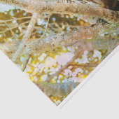 Weefselpapier met Barred Owl Tissuepapier (Detail)