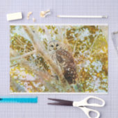 Weefselpapier met Barred Owl Tissuepapier (Craft)