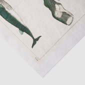 WEEFSELPAPIER : OLIVER GOLDSMITH : WALEN TISSUEPAPIER (Detail)