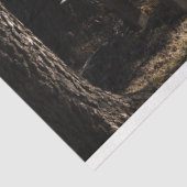 Weefselpapier op de bosparkeerbank tissuepapier (Detail)