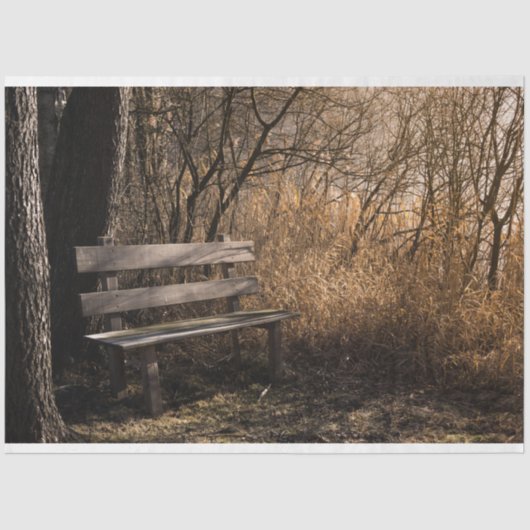 Weefselpapier op de bosparkeerbank tissuepapier (Voorkant)