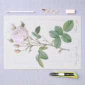 WEEFSELPAPIER : PIERRE ' JOSEPH REDOUTÉ : WITTE RO TISSUEPAPIER (Craft)