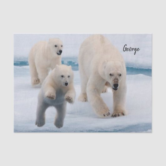 Weefselpapier Polar Beer Tissuepapier (Voorkant)