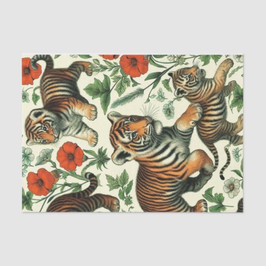 Weefselpapier Tissuepapier (Voorkant)