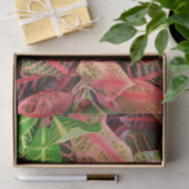 Weefselpapier Tissuepapier (Geschenk)