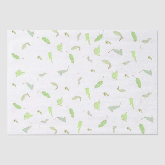 Weefselpapier Tissuepapier (Voorkant)