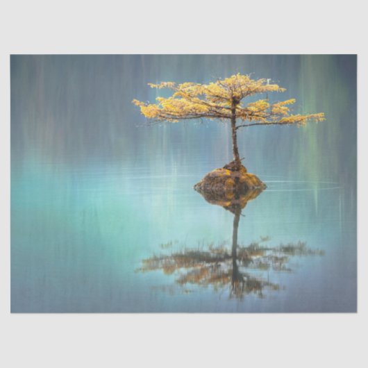 WEEFSELPAPIER: "TREE ON AN ISLAND" TISSUEPAPIER (Voorkant)