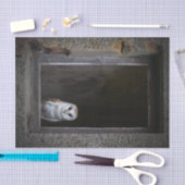 Weefselpapier voor Barn Owl Tissuepapier (Craft)