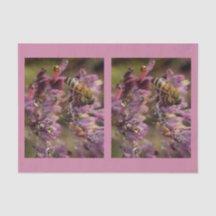 Weefselpapier voor bijen