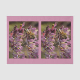 Weefselpapier voor bijen tissuepapier