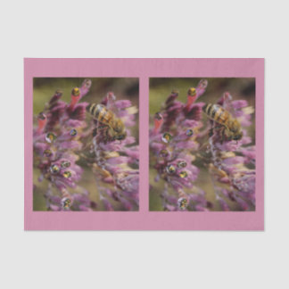 Weefselpapier voor bijen tissuepapier