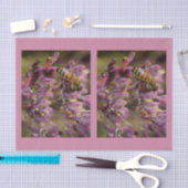 Weefselpapier voor bijen tissuepapier (Craft)