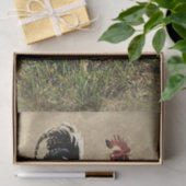 Weefselpapier voor boerderij Rooster Tissuepapier (Geschenk)