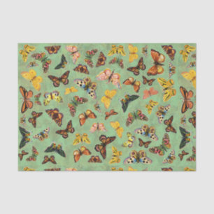 Weefselpapier voor botervliegen tissuepapier