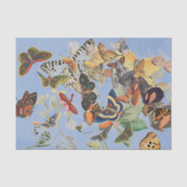 Weefselpapier voor BUTTERFLES Tissuepapier