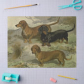 Weefselpapier voor dachshunds tissuepapier (Craft)