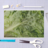 Weefselpapier voor groene bladsla tissuepapier (Craft)