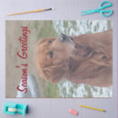 Weefselpapier voor grote honden tissuepapier (Craft)