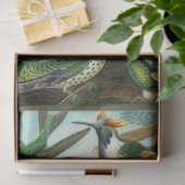 Weefselpapier voor Hummingbird Ernst Haeckel Tissuepapier (Geschenk)