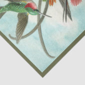 Weefselpapier voor Hummingbird Ernst Haeckel Tissuepapier (Detail)