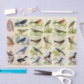 Weefselpapier voor kleurrijke vogels tissuepapier