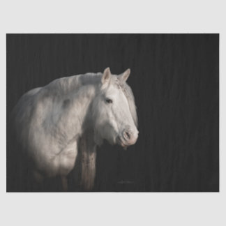 Weefselpapier voor loskoppelen van wilde paarden tissuepapier