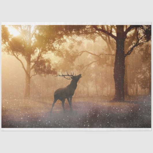 Weefselpapier voor ontkoppeling van bossen tissuepapier (Voorkant)