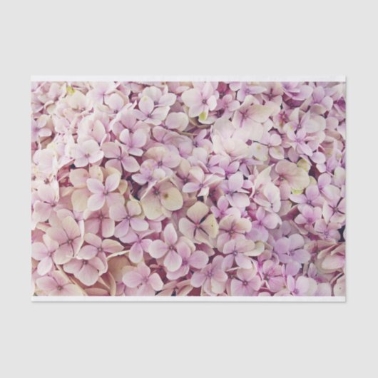 Weefselpapier voor roze hydrangea tissuepapier (Voorkant)