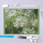 Weefselpapier voor speciaal cadeau tissuepapier (Craft)