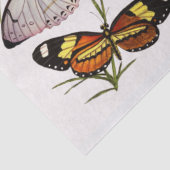 Weefselpapier voor Victoriaans butterijen Tissuepapier (Detail)