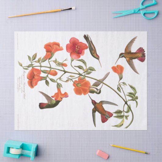 Weefselpapier voor vogelpest tissuepapier (Craft)