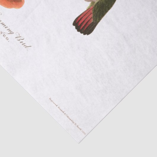 Weefselpapier voor vogelpest tissuepapier (Detail)