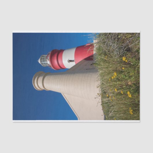 Weefselpapier voor vuurtoren tissuepapier (Voorkant)