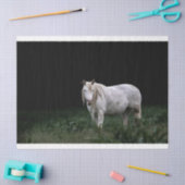 Weefselpapier voor wilde paarden tissuepapier (Craft)