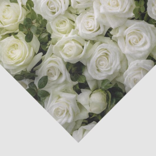 Weefselpapier voor witte rozen tissuepapier (Detail)