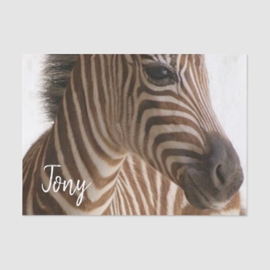 Weefselpapier Zebra Tissuepapier (Voorkant)