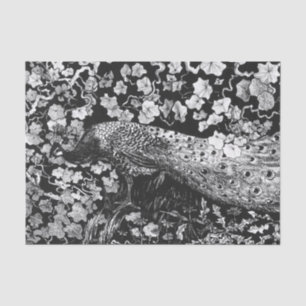 Weefselpapier, ZWART EN WITTE PEACOCK Tissuepapier