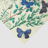 Weefselpapieren vlinderontwerp tissuepapier (Detail)