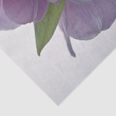 Weefselpapierladingen ondersteboven tissuepapier (Detail)