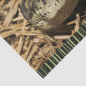 Weefselpapierslangen Tissuepapier (Detail)