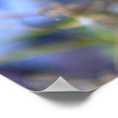 Weefsels Poster (Hoek)