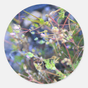 Weefsels Ronde Sticker