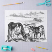 Weefsels van de koeien van het land tissuepapier (Craft)