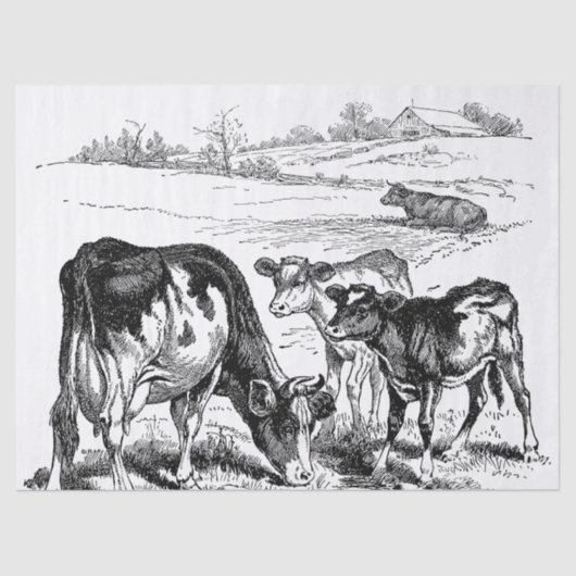 Weefsels van de koeien van het land tissuepapier (Voorkant)