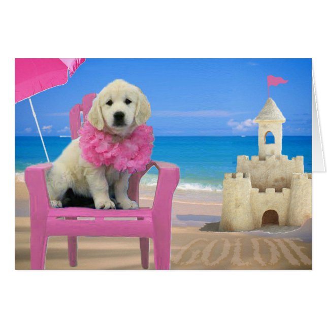 Week 8 - Beach Goldie (Voorkant Horizontaal)