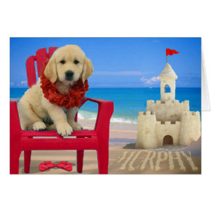 Week 8 - Bloemkoorts